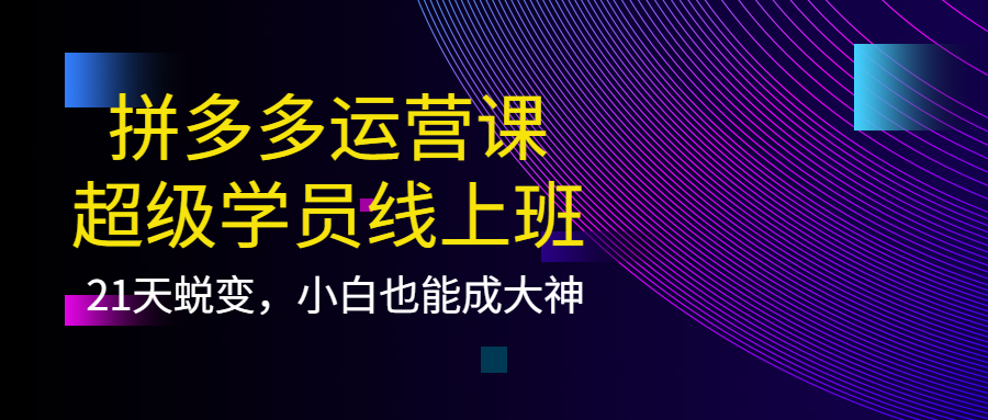 拼多多运营课：超级学员线上班，21天蜕变，小白也能成大神-温馨分享网