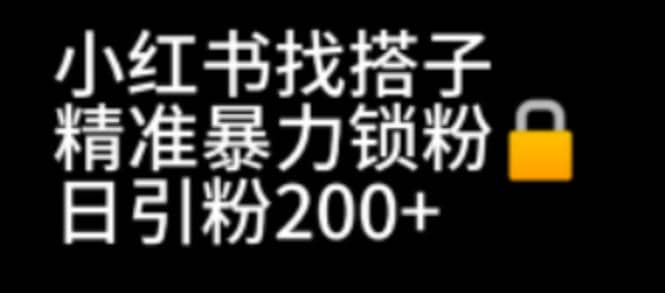小红书找搭子暴力精准锁粉+引流日引200+精准粉-温馨分享网