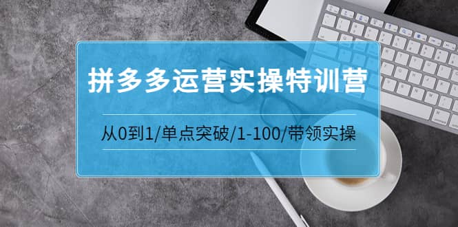 拼多多运营实操特训营：从0到1/单点突破/1-100/带领实操 价值2980元-温馨分享网