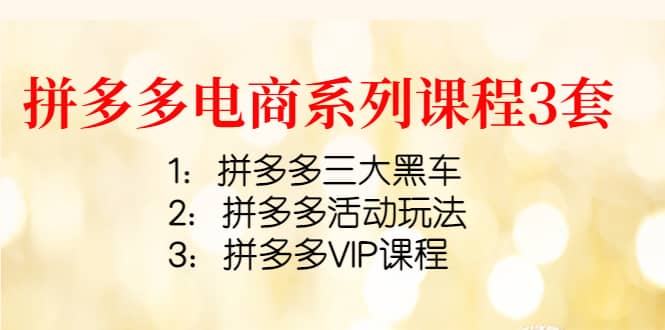 拼多多电商系列课程3套：拼多多三大黑车+拼多多活动玩法+拼多多VIP课程-温馨分享网