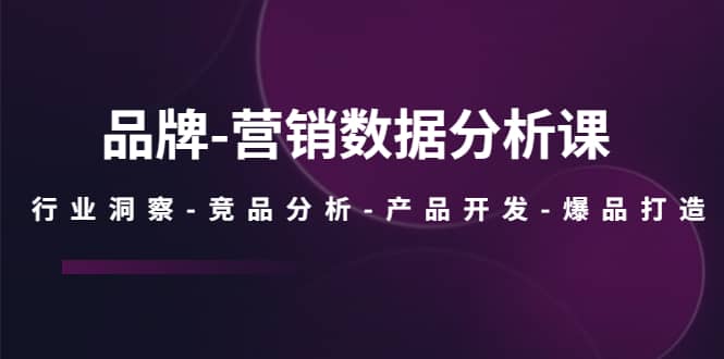 品牌-营销数据分析课，行业洞察-竞品分析-产品开发-爆品打造-温馨分享网