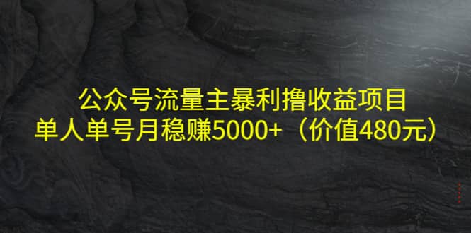 公众号流量主暴利撸收益项目，单人单号月稳赚5000+（价值480元）-温馨分享网