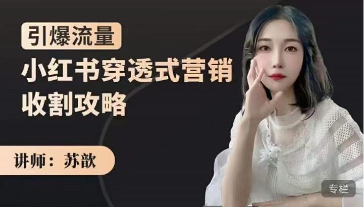 小红书穿透式营销收割攻略，引爆流量，助你玩转小红书-温馨分享网