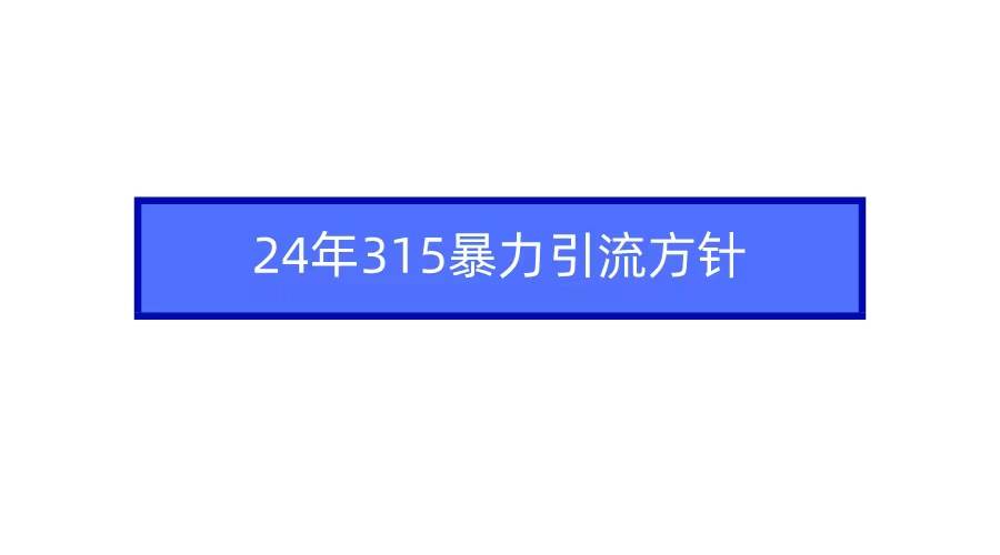 2024年315暴力引流方针-温馨分享网