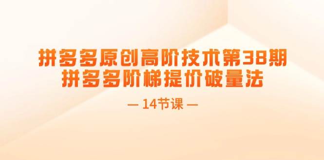 拼多多原创高阶技术第38期，拼多多阶梯提价破量法（14节课）-温馨分享网