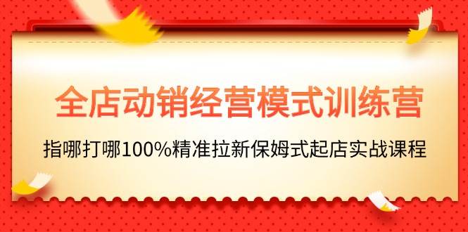 全店动销-经营模式训练营，指哪打哪100%精准拉新保姆式起店实战课程-温馨分享网