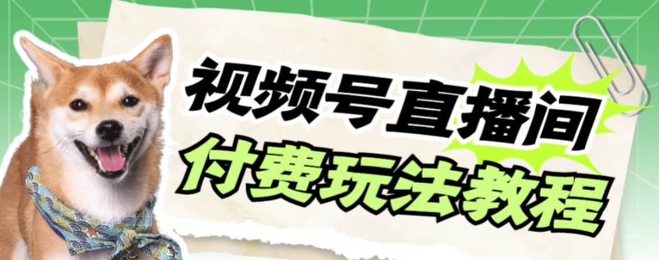 视频号美女付费无人直播，轻松日入500+【详细玩-温馨分享网