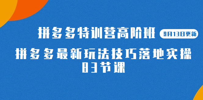 2023拼多多·特训营高阶班【9月13日更新】拼多多最新玩法技巧落地实操-83节-温馨分享网