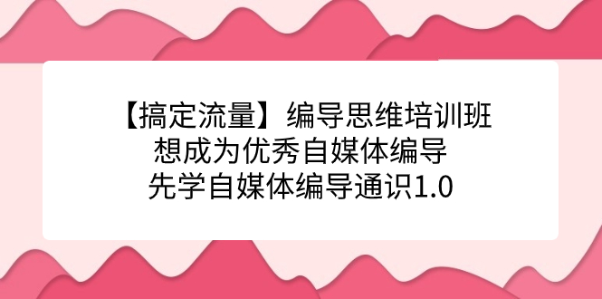 【搞定流量】编导思维培训班，想成为优秀自媒体编导先学自媒体编导通识1.0-温馨分享网