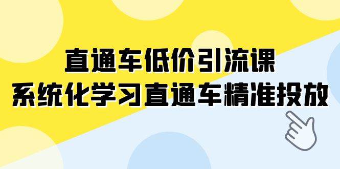 直通车-低价引流课，系统化学习直通车精准投放（14节课）-温馨分享网