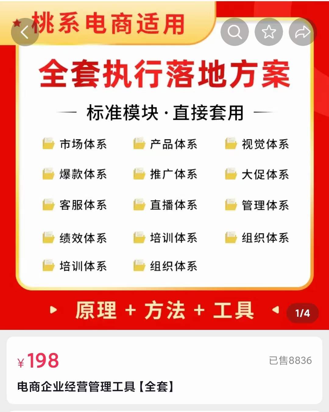外面卖198·电商企业经营管理工具：全套执行落地方案 标准模块·直接套用-温馨分享网
