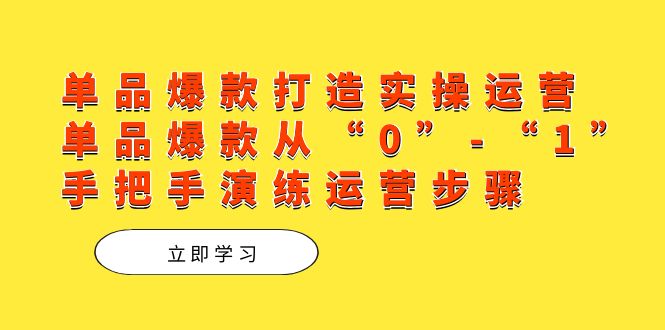单品爆款打造实操运营，单品爆款从“0”-“1”手把手演练运营步骤-温馨分享网