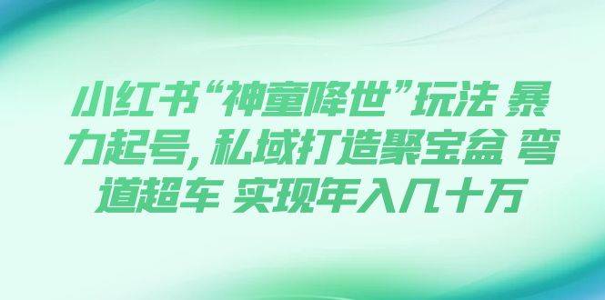 小红书“神童降世”玩法 暴力起号,私域打造聚宝盆 弯道超车 实现年入几十万-温馨分享网