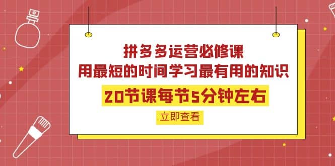 拼多多运营必修课：20节课每节5分钟左右，用最短的时间学习最有用的知识-温馨分享网