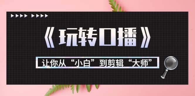 月营业额700万+大佬教您《玩转口播》让你从“小白”到剪辑“大师”-温馨分享网
