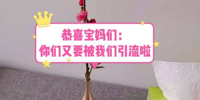 恭喜宝妈们：你们又要被我们引流了（教程+222g资料）-温馨分享网