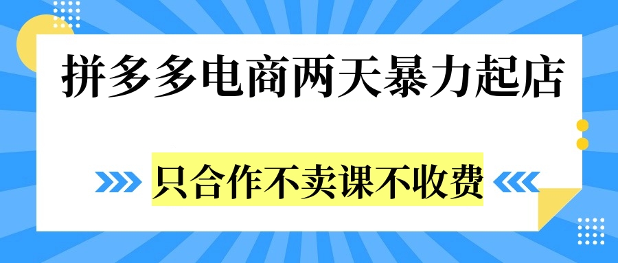 拼多多两天暴力起店，只合作不卖课不收费-温馨分享网