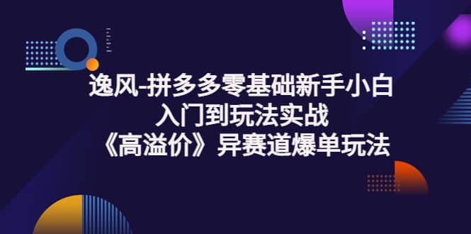 拼多多零基础新手小白入门到玩法实战《高溢价》异赛道爆单玩法实操课-温馨分享网