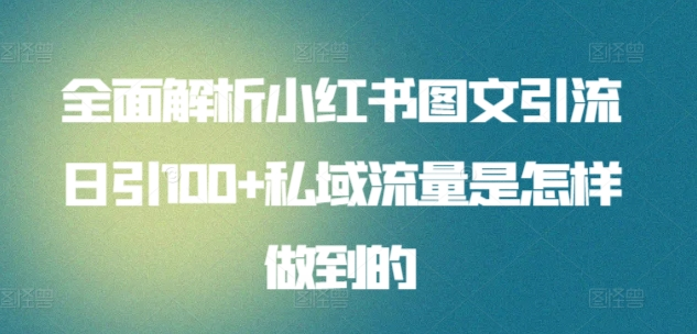 全面解析小红书图文引流日引100私域流量是怎样做到的-温馨分享网