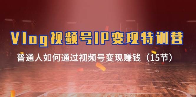 Vlog 视频号IP变现特训营，普通人如何通过视频号变现赚钱（15节）-温馨分享网
