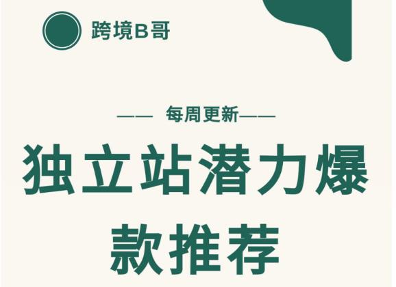 【跨境B哥】独立站潜力爆款选品推荐，测款出单率高达百分之80（每周更新）-温馨分享网