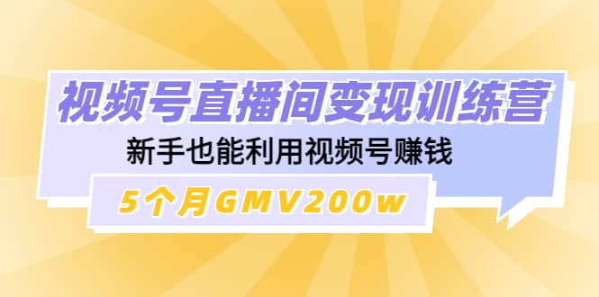 视频号直播间变现训练营-温馨分享网