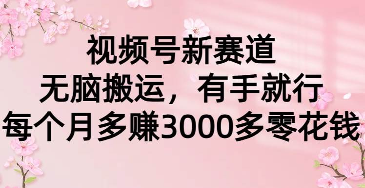 视频号新赛道，无脑搬运，有手就行，每个月多赚3000多零花钱-温馨分享网