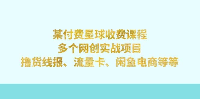 某付费星球课程：多个网创实战项目，撸货线报、流量卡、闲鱼电商等等-温馨分享网
