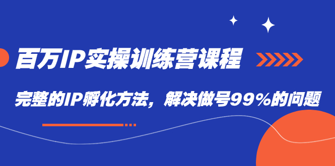 百万IP实战训练营课程，完整的IP孵化方法，解决做号99%的问题-温馨分享网