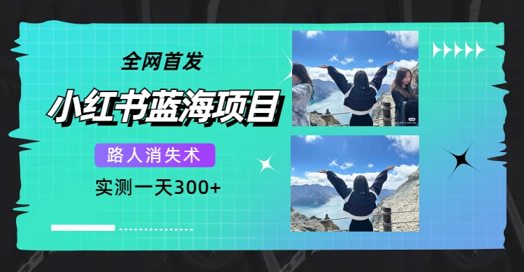 全网首发，小红书蓝海项目，路人消失术，实测一天300+（教程+工具）-温馨分享网