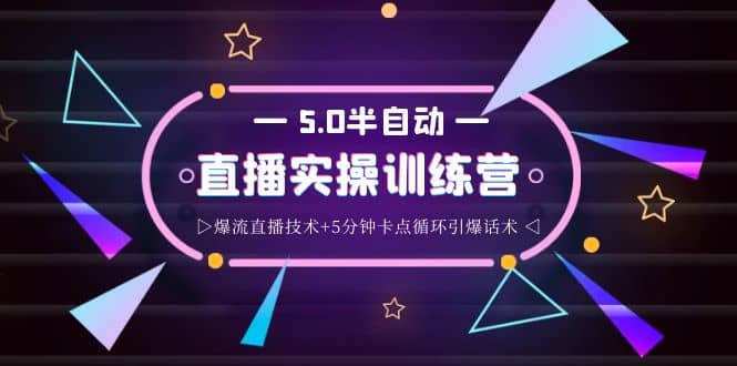 蚂蚁·5.0半自动直播2345打法，半自动爆流直播技术+5分钟卡点循环引爆话术-温馨分享网