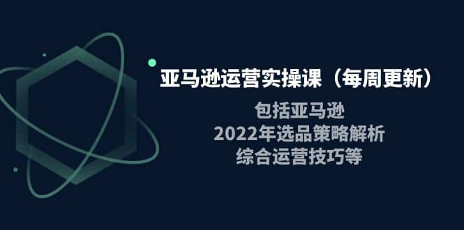 亚马逊运营实操课（每周更新）包括亚马逊2022选品策略解析，综合运营技巧等-温馨分享网