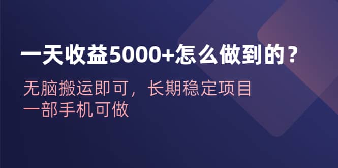一天收益5000+怎么做到的？无脑搬运即可，长期稳定项目，一部手机可做-温馨分享网
