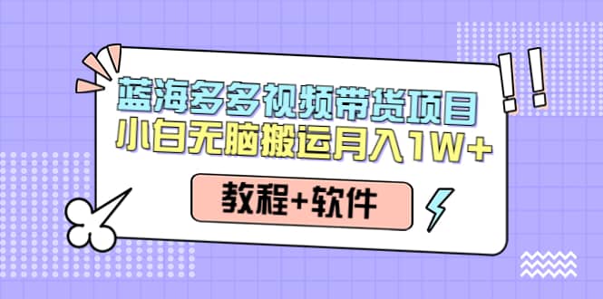 人人都能操作的蓝海多多视频带货项目 小白无脑搬运（教程+软件）-温馨分享网