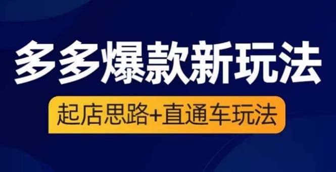 2023拼多多爆款·新玩法：起店思路+直通车玩法（3节精华课）-温馨分享网