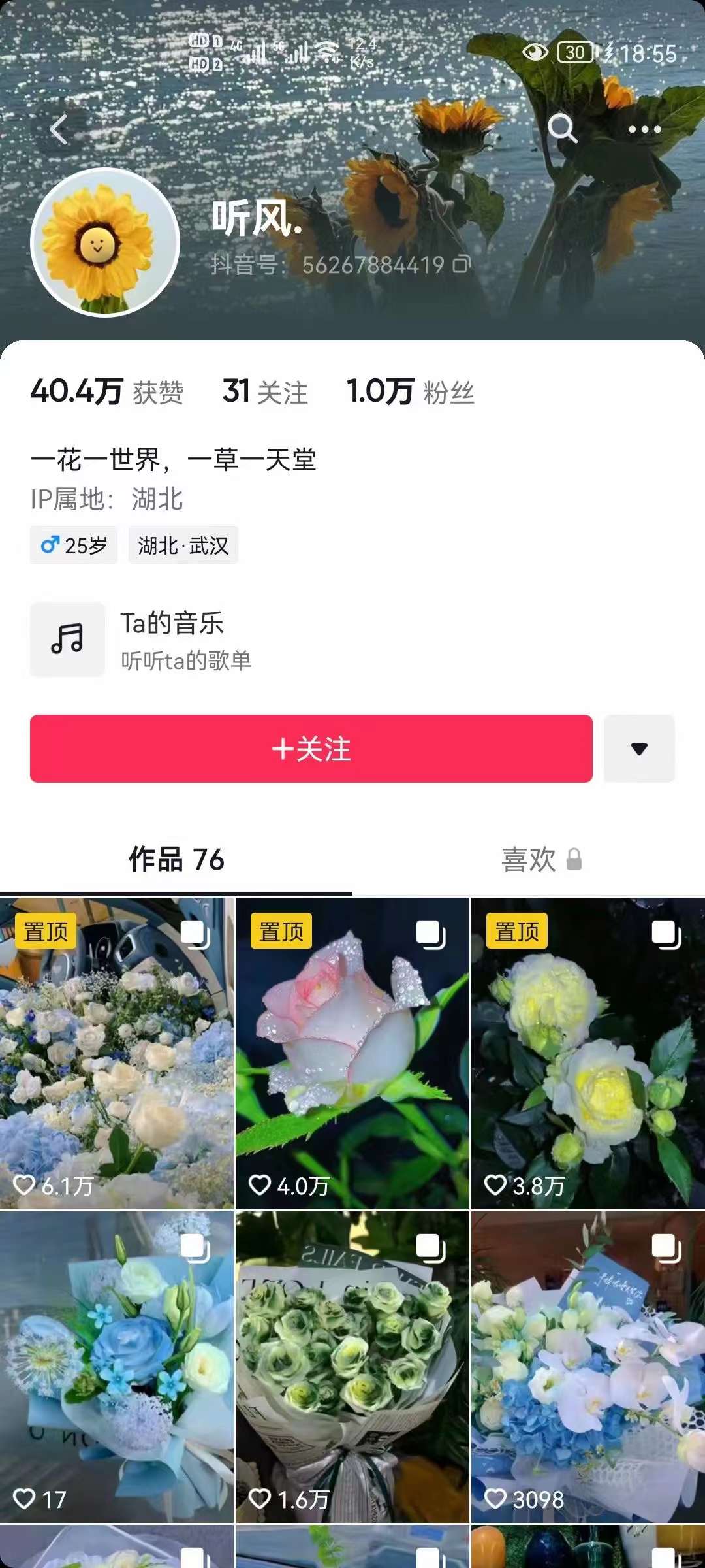 图片[2]-抖音壁纸变现项目：实战日入380+发布壁纸素材获取收益！-温馨分享网
