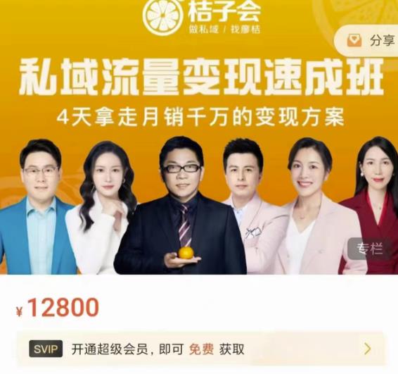 桔子会·私域流量变现速成班，4天拿走月销千万的变现方案 价值12800元-温馨分享网