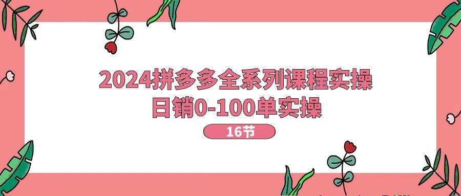 2024拼多多全系列课程实操，日销0-100单实操【16节课】-温馨分享网