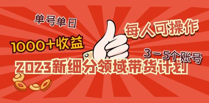 2023新细分领域带货计划：单号单日1000+收益不难，每人可操作3-5个账号-温馨分享网