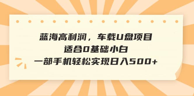 蓝海高利润，车载U盘项目，适合0基础小白，一部手机轻松实现日入500+-温馨分享网