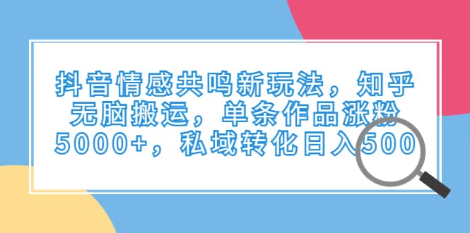 抖音情感共鸣新玩法，知乎无脑搬运，单条作品涨粉5000+，私域转化日入500-温馨分享网