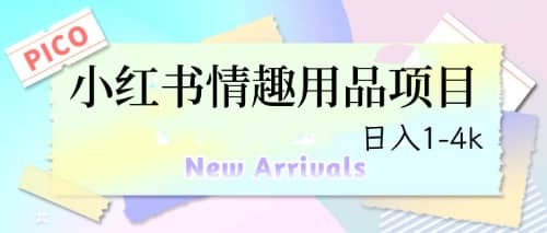 最新小红书情趣用品项目，日入1-4k-温馨分享网