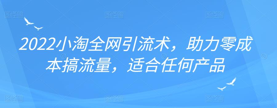 2022年小淘全网引流术，助力零成本搞流量，适合任何产品-温馨分享网