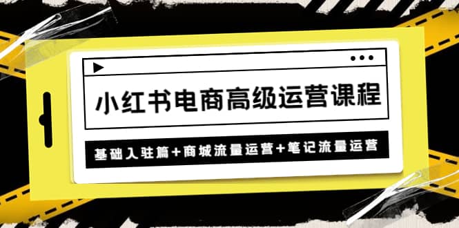 小红书电商高级运营课程：基础入驻篇+商城流量运营+笔记流量运营-温馨分享网