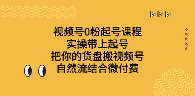 视频号0粉起号课程 实操带上起号 把你的货盘搬视频号 自然流结合微付费-温馨分享网