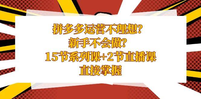 拼多多运营不理想？新手不会做？15节系列课+2节直播课，直接掌握-温馨分享网
