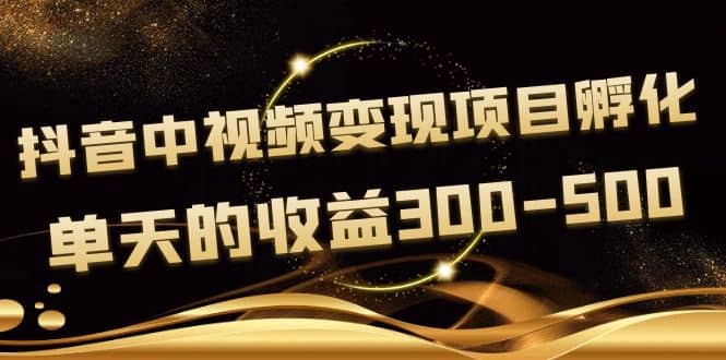 黄岛主《抖音中视频变现项目孵化》单天的收益300-500 操作简单粗暴-温馨分享网