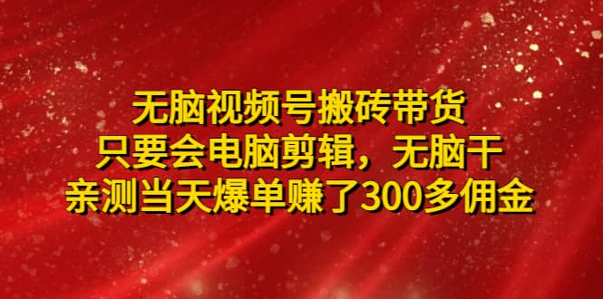 无脑视频号搬砖带货，只要会电脑剪辑，无脑干-温馨分享网