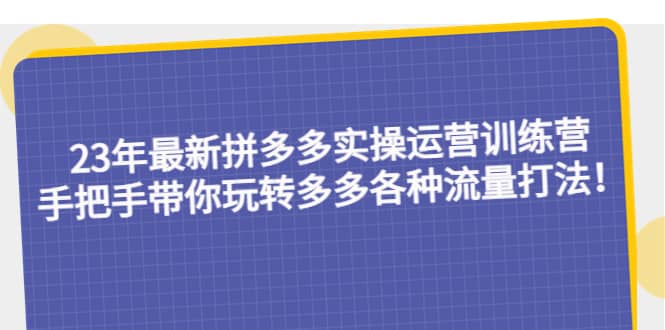 23年最新拼多多实操运营训练营：手把手带你玩转多多各种流量打法！-温馨分享网