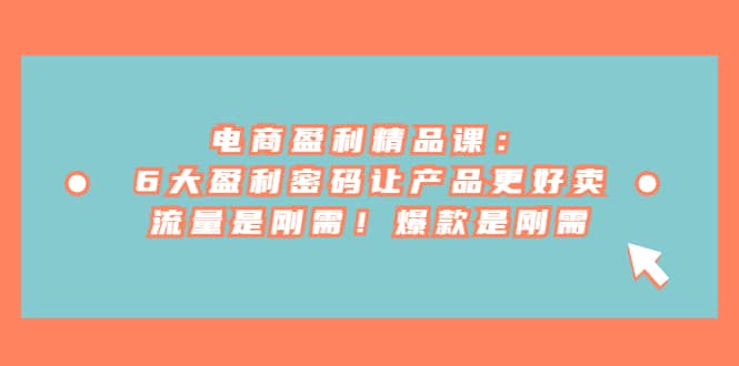 电商 盈利精品课：6大盈利 密码让产品更好卖，流量是刚需！爆款是刚需-温馨分享网
